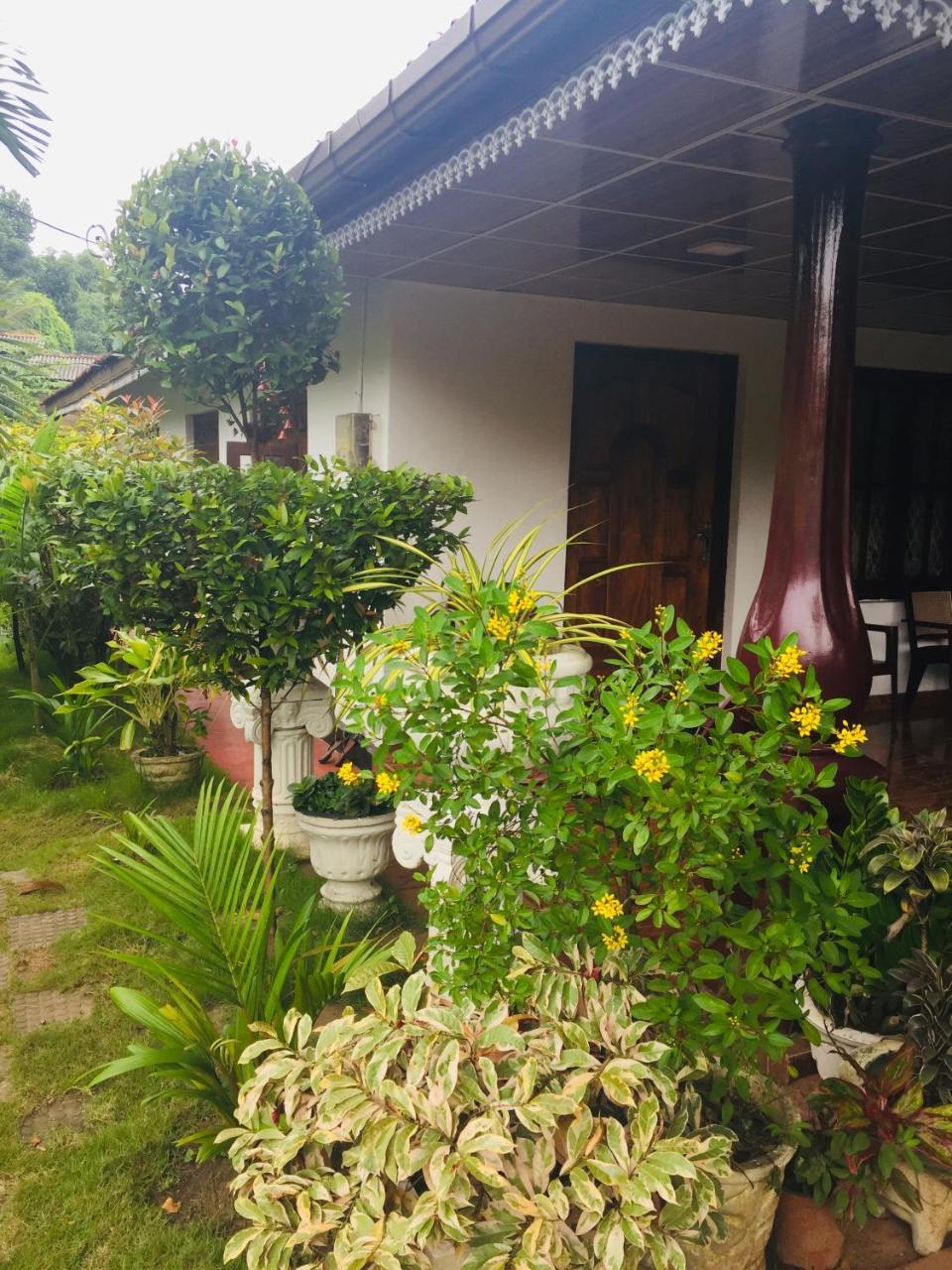 Malee Homestay Polonnaruwa Buitenkant foto